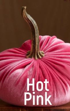 Small Velvet Pumpkin