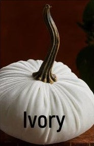 Small Velvet Pumpkin