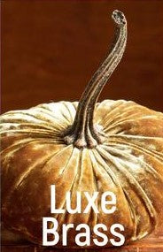 Small Velvet Pumpkin