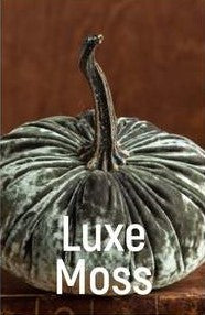 Small Velvet Pumpkin
