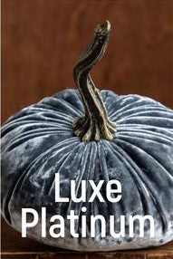 Small Velvet Pumpkin