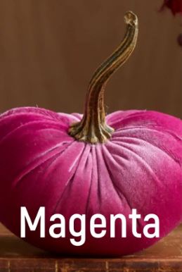 Small Velvet Pumpkin