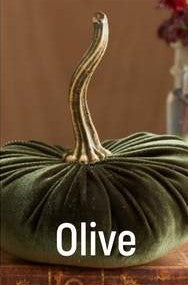 Small Velvet Pumpkin