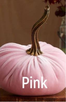 Large Velvet Pumpkins