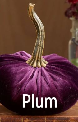 Large Velvet Pumpkins
