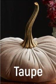 Large Velvet Pumpkins