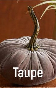Small Velvet Pumpkin