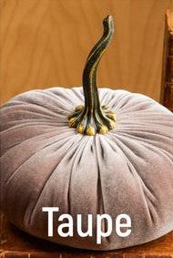 XL Velvet Pumpkins